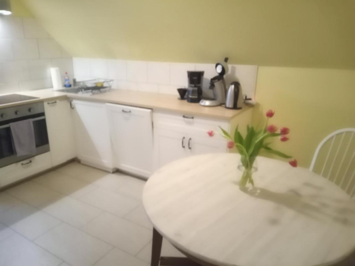 פרידריכסקוג Strandrose מראה חיצוני תמונה